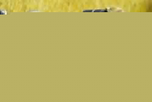 photo_2023-02-03_19-47-40 (2).jpg